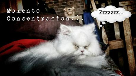 estamos tan agustito