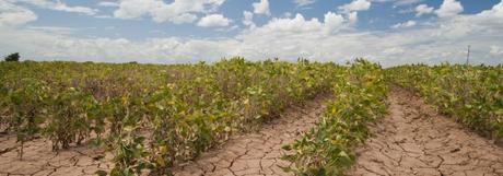 ¿Estamos concienciados sobre el cambio climático?