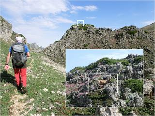 Valle de Lago-Pena la Paredina-Picos de la Mortera-Braña de Sousas