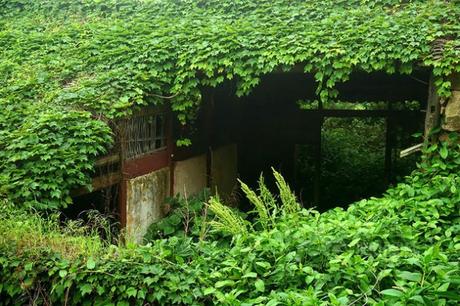 Pueblo abandonado en China tomado por la Naturaleza.