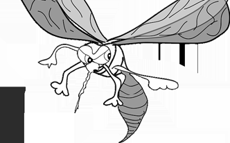 Remedios caseros para picaduras de mosquito con agua Remedios caseros para picaduras de mosquito con agua