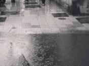 foto gratis Londres Beefeater Street