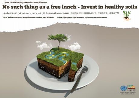 Día Mundial de Lucha contra la Desertificación 17 de junio Naciones Unidas Cartel del 2015