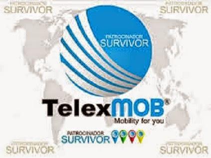 TelexMOB: Estafa Piramidal o Esquema Ponzi Como TelexFREE