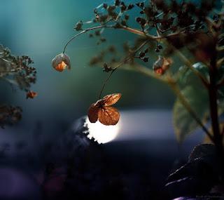 POR AQUELLAS CALLES...