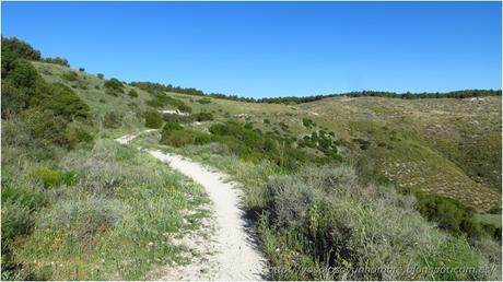 senda por la ladera del monte