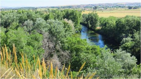 el río y tal