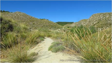 se acaba la senda y subimos otro barrando