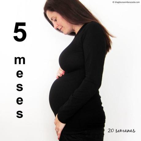 El quinto mes de mi segundo embarazo El quinto mes de mi segundo embarazo