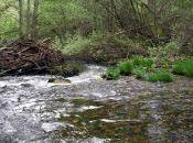 Efectos sueltas Vado