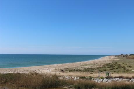 bici con niños prat de llobregat