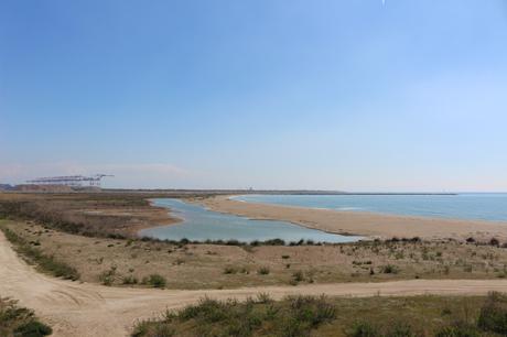 bici con niños prat de llobregat