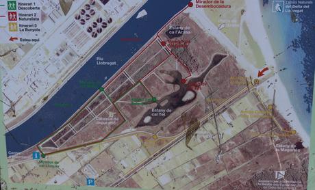 bici con niños prat de llobregat