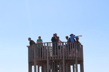 bici con niños prat de llobregat