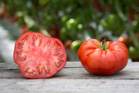 tomate corazón de buey