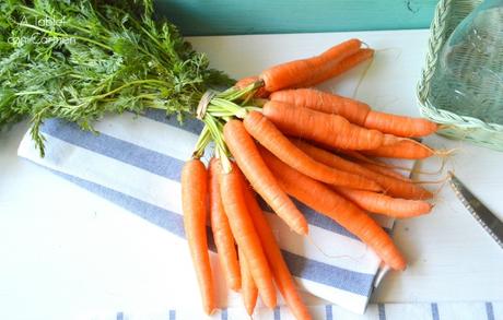 Palometa en Escabeche