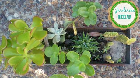 Si la vida te da budineras;hacelas jardineras...