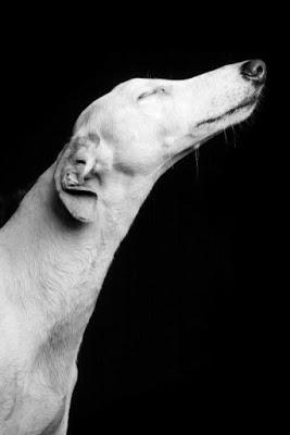 San Viernes respirando