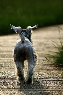 San Viernes respirando