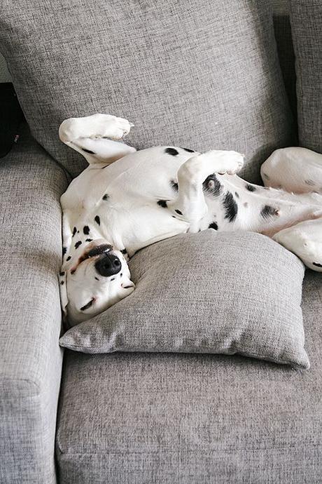 San Viernes respirando