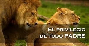 Blog_PrivilegioPadre