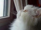 Androidografia Barakaldo CDLXXXIII. #fotografia