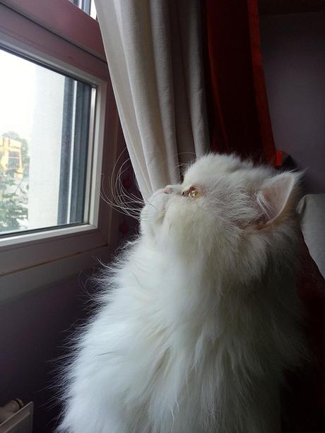 Androidografia Barakaldo 1741