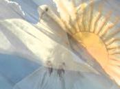 saludo bandera Patria