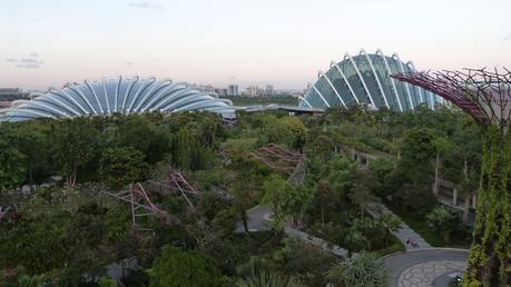 Cloud Forest y el Flower Dome