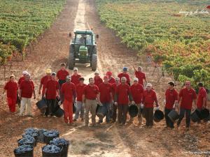 Una recomendación de nuestro sumiller para este fin de semana – VINO TINTO DONCEL DE MATAPERRAS 2009 – D.O. RIBERA DEL DUERO (ESPAÑA) Foto-4-Marques-de-Velilla