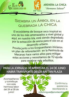 Provita invita a una jornada de siembra de árboles a partir del 24 de junio
