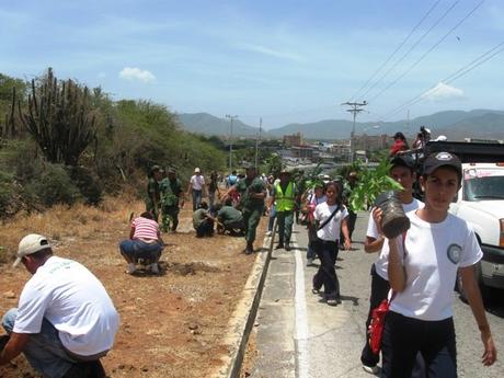 Provita invita a una jornada de siembra de árboles a partir del 24 de junio