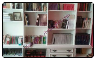 Lacado en blanco de libreria