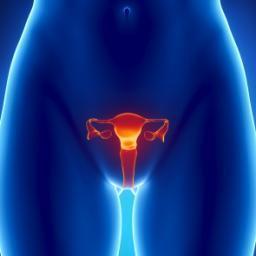 La terapia hormonal para la menopausia aumenta el riesgo de sangrado gastrointestinal