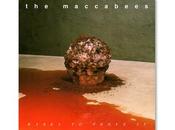 Maccabees regresan nuevo trabajo estrenan ‘Something Like Happiness’