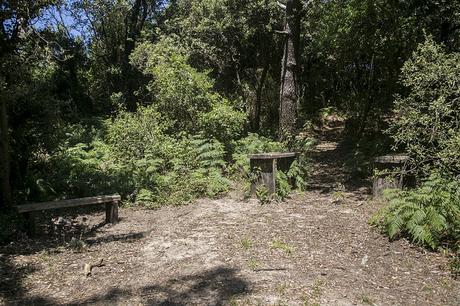 Ruta de la Costa, Noja