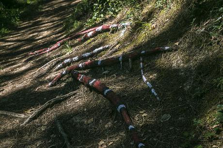 Ruta de la Costa, Noja