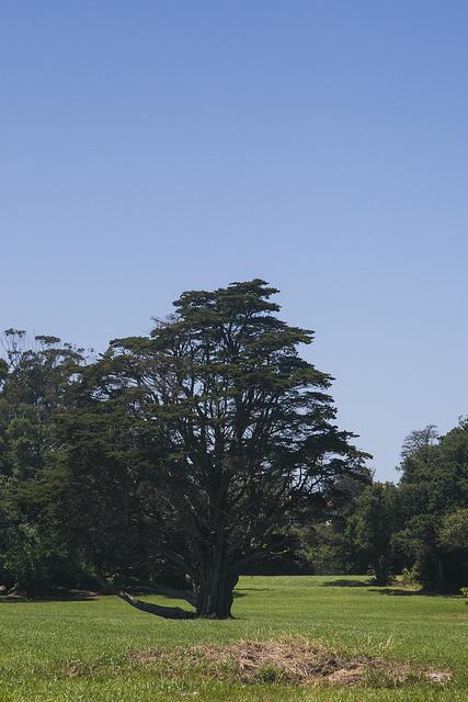 Ruta de la Costa, Noja