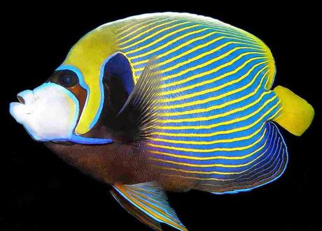 Combinar colores moda