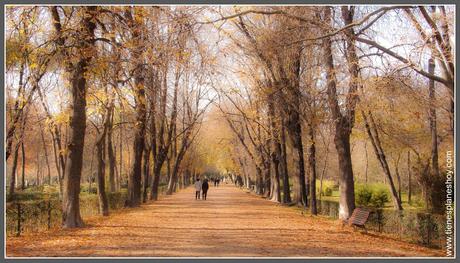 Parque El Retiro Madrid