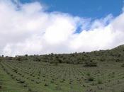 Charla Ciudad Real (10)
