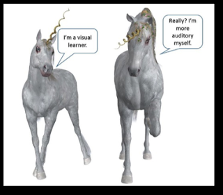 Erradicar el mito de los Estilos de Aprendizaje. Margie Meacham Erradicar el mito de los Estilos de Aprendizaje. Margie Meacham