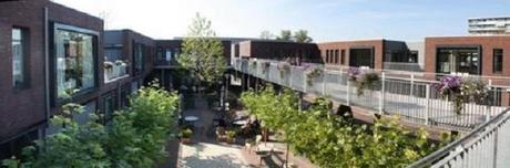 Pueblo holandés le permite a pacientes de demencia una vida normal e independiente