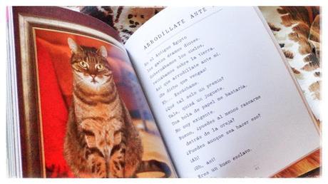[Egullendo viñetas] 'Podría hacer pis aquí, y otros poemas escritos por gatos', de Francesco Marciuliano