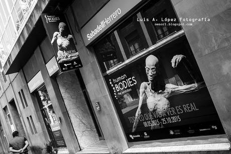 Human Bodies- The Exhibition, Oviedo Human Bodies- The Exhibition, Oviedo
