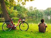 transformación individuo sociedad