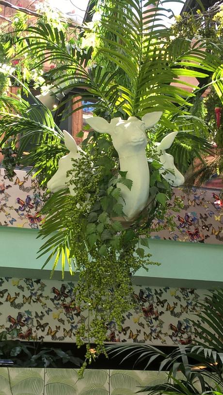 WP_20150526_12_55_43_Pro