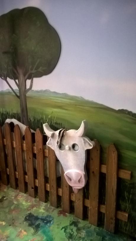 WP_20150526_12_18_41_Pro