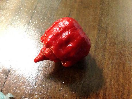 Carolina reaper, pimiento más picante del mundo