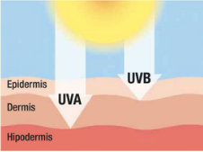 PROTECCIÓN SOLAR. La importancia de protegernos del sol. Rayos 1b